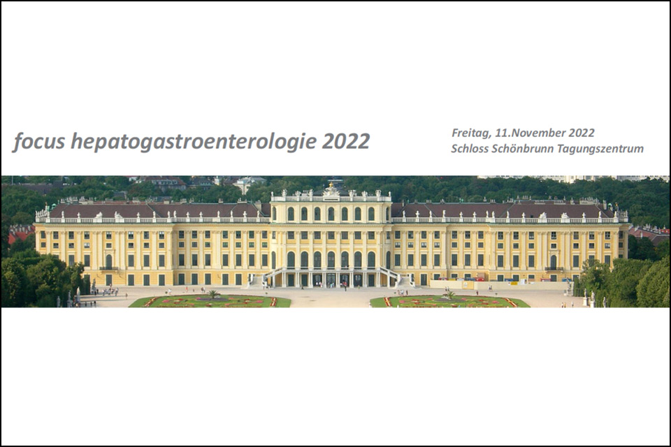Focus Hepatogastroenterologie 2022